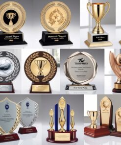 Trophies medals plaques glass plaque
