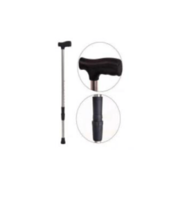 Walking Stick