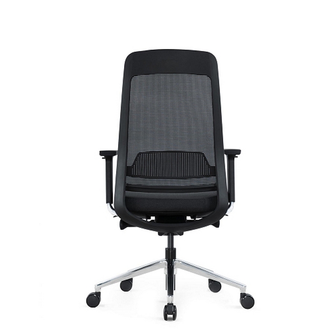 Ergonomic Executive Chair - Without Headrest - EEXEC