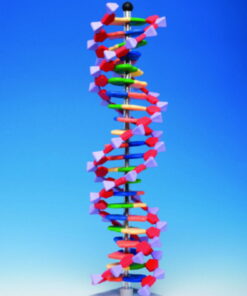 Protein Kit RNA-12 PS
