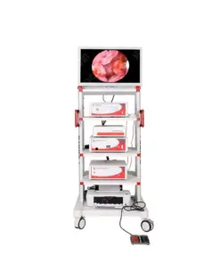 Laparoscope & Hysteroscopy tower MAS-SY