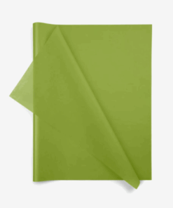Aloe Green Wrapping Tissue (24 Sheet Pack)