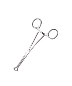 Babcocks Forceps – 20cm
