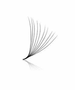 10D Pre-made Volume Fans - Loose 500's