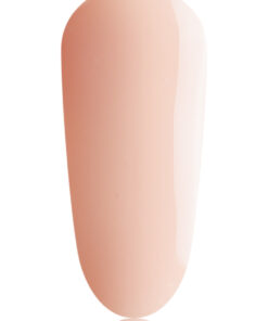 #19 BIAB Mini