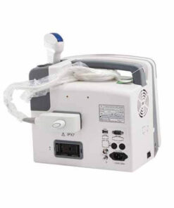 Alternative view of Ultrasound 9618 Veterinary Model